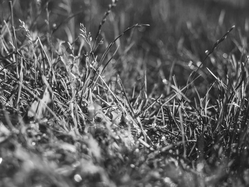 sudoku learning tool